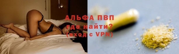 стафф Осинники