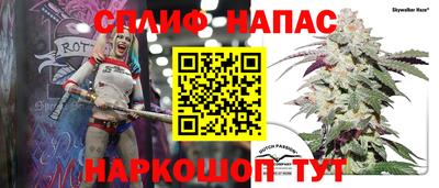 сатива Гай