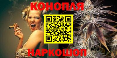 сатива Гай