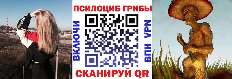 blacksprut рабочий сайт Кинель Псилоцибиновые грибы Psilocybe где купить наркоту