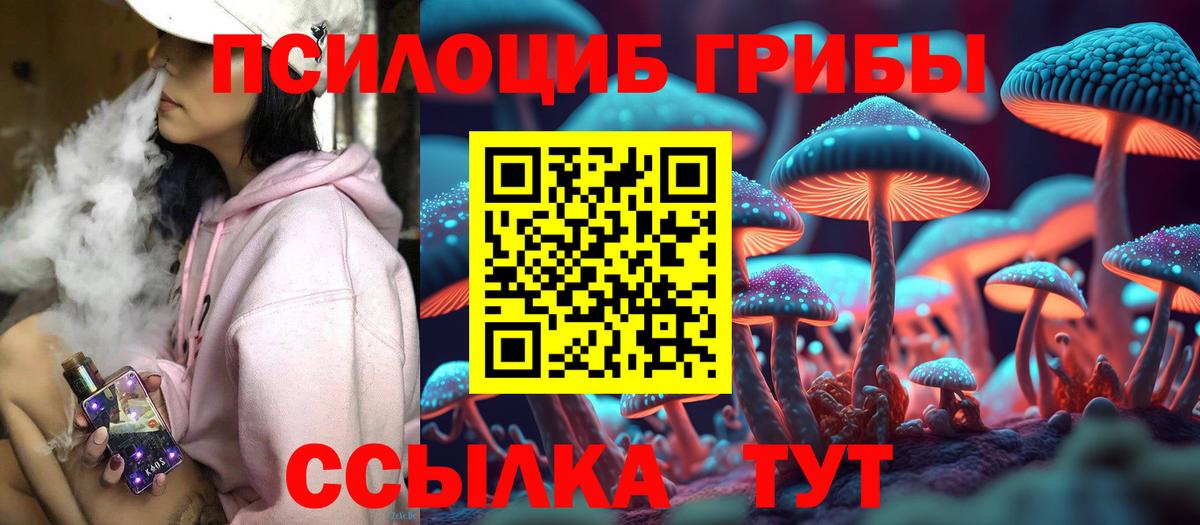 Галлюциногенные грибы прущие грибы  Вход с VPN  Галлюциногенные грибы мицелий  Кинель 